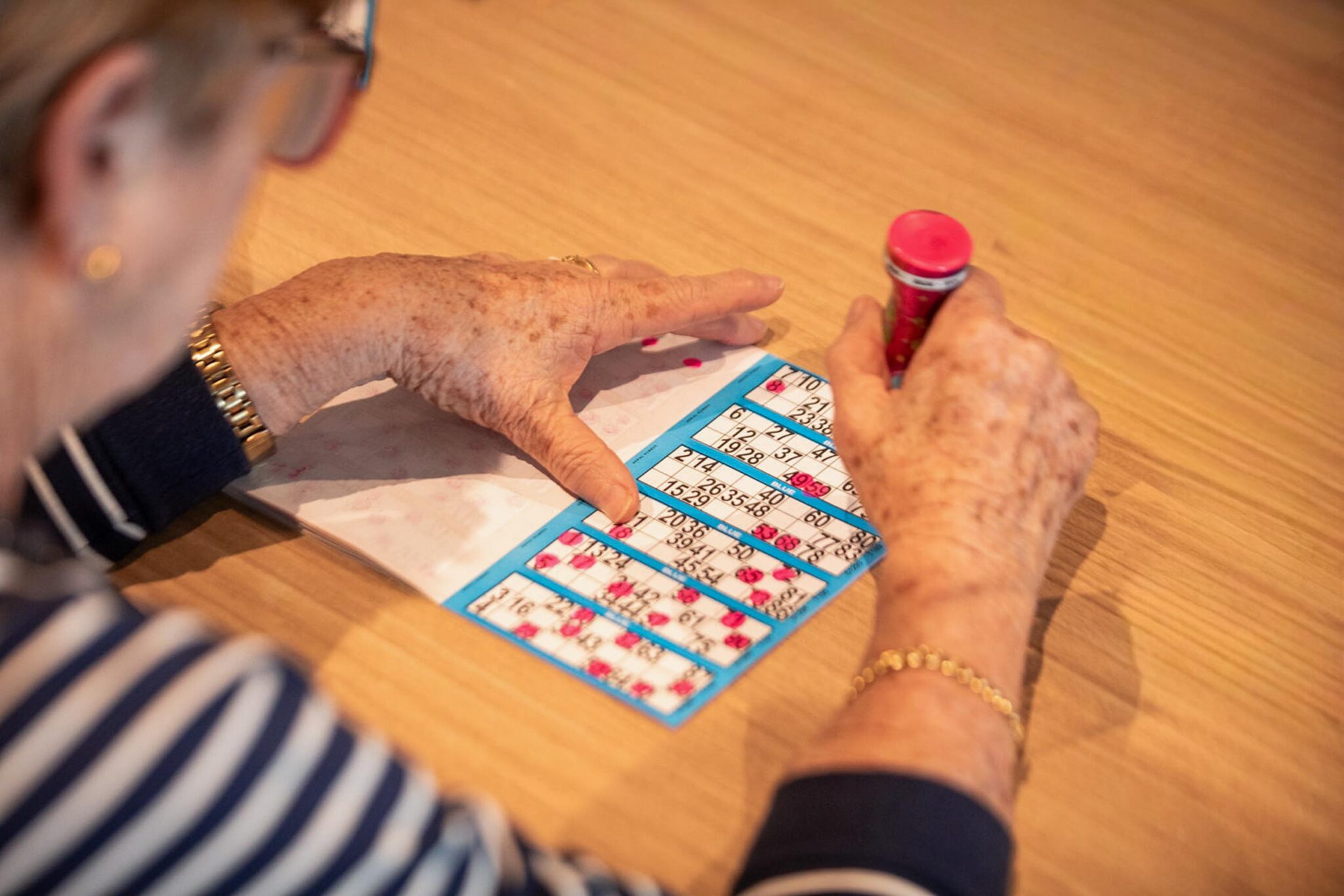 Bingo at DYRSL