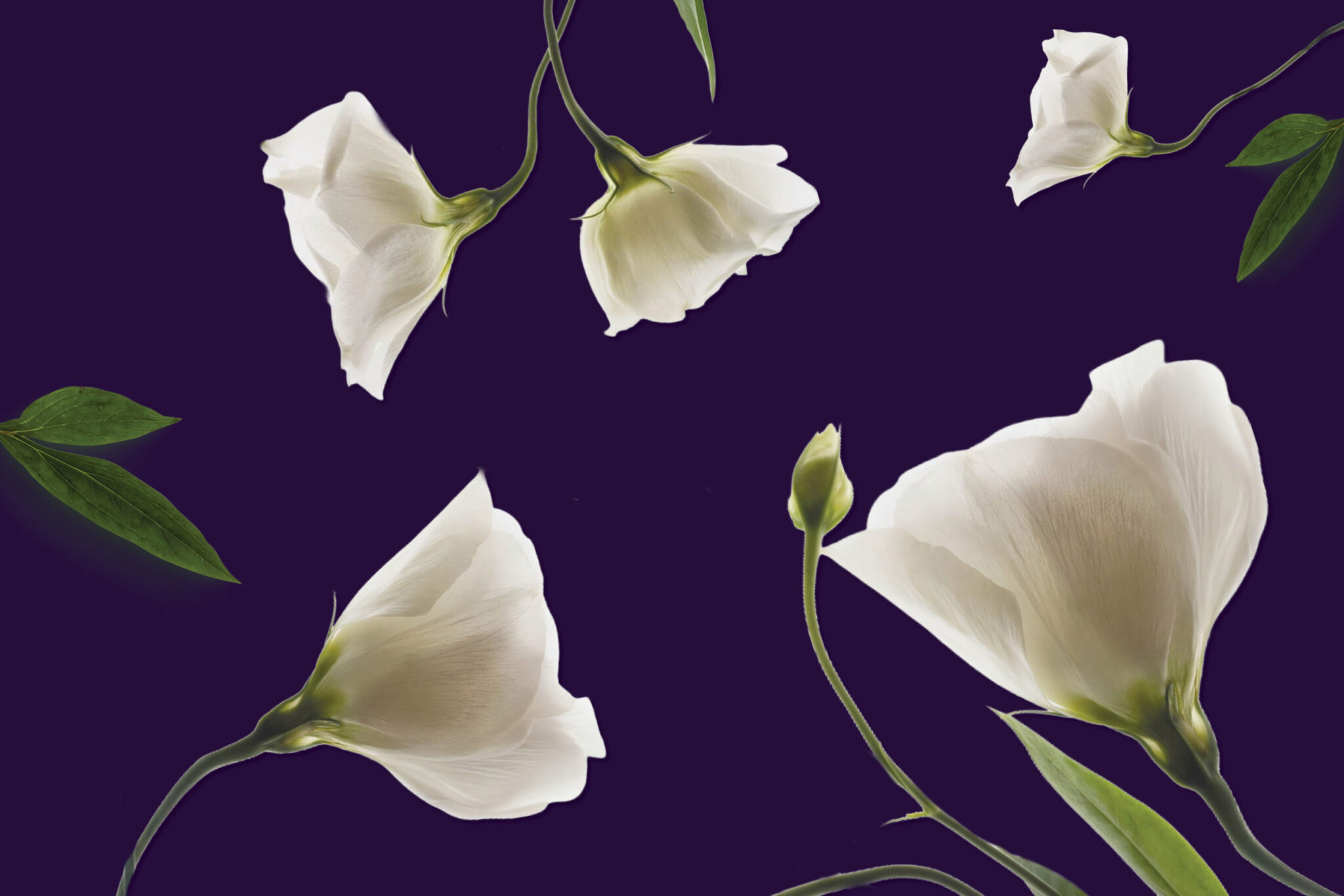 Mother's Day at DYRSL