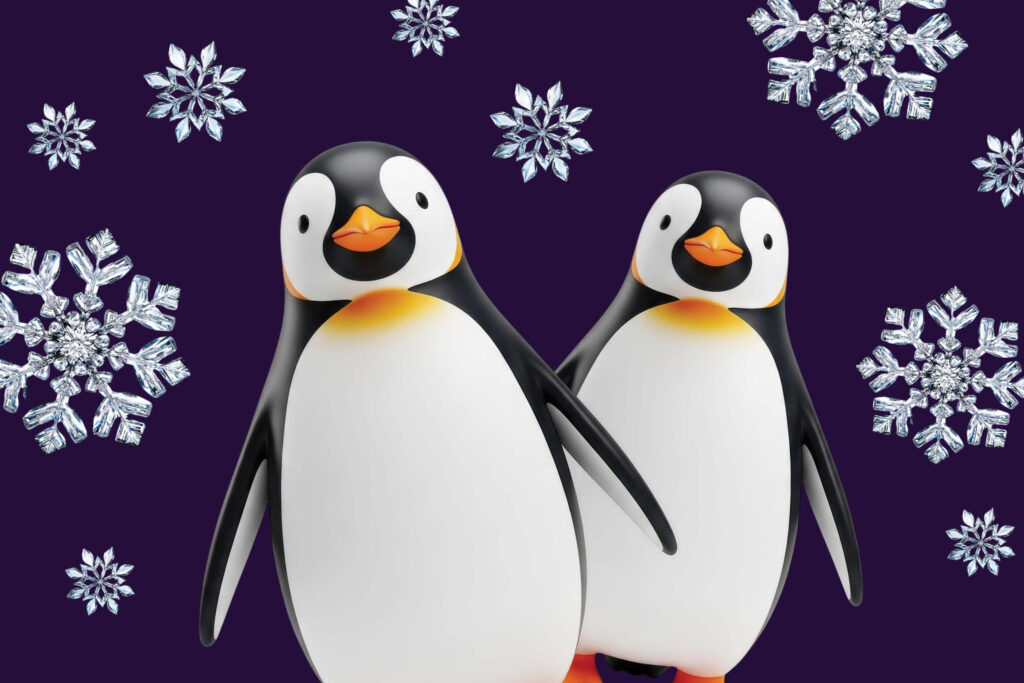 Winter Winners!