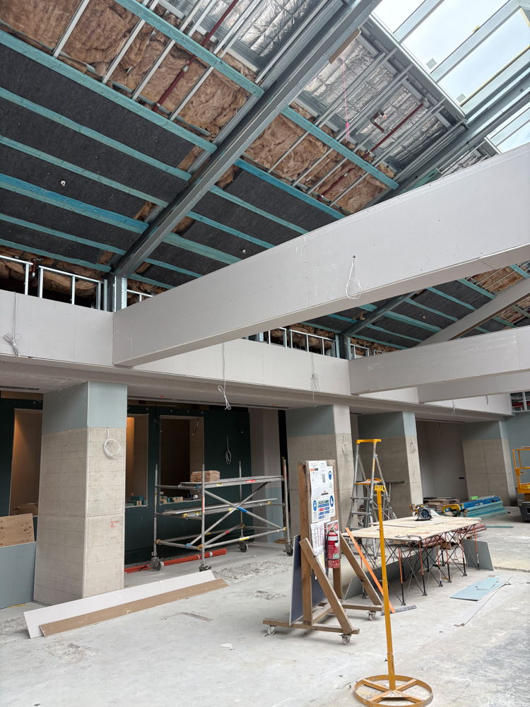 DYRSL Refurbishment Botanica June