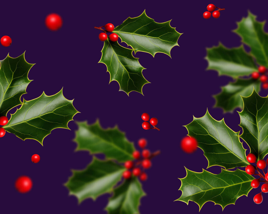 Christmas Luncheons.