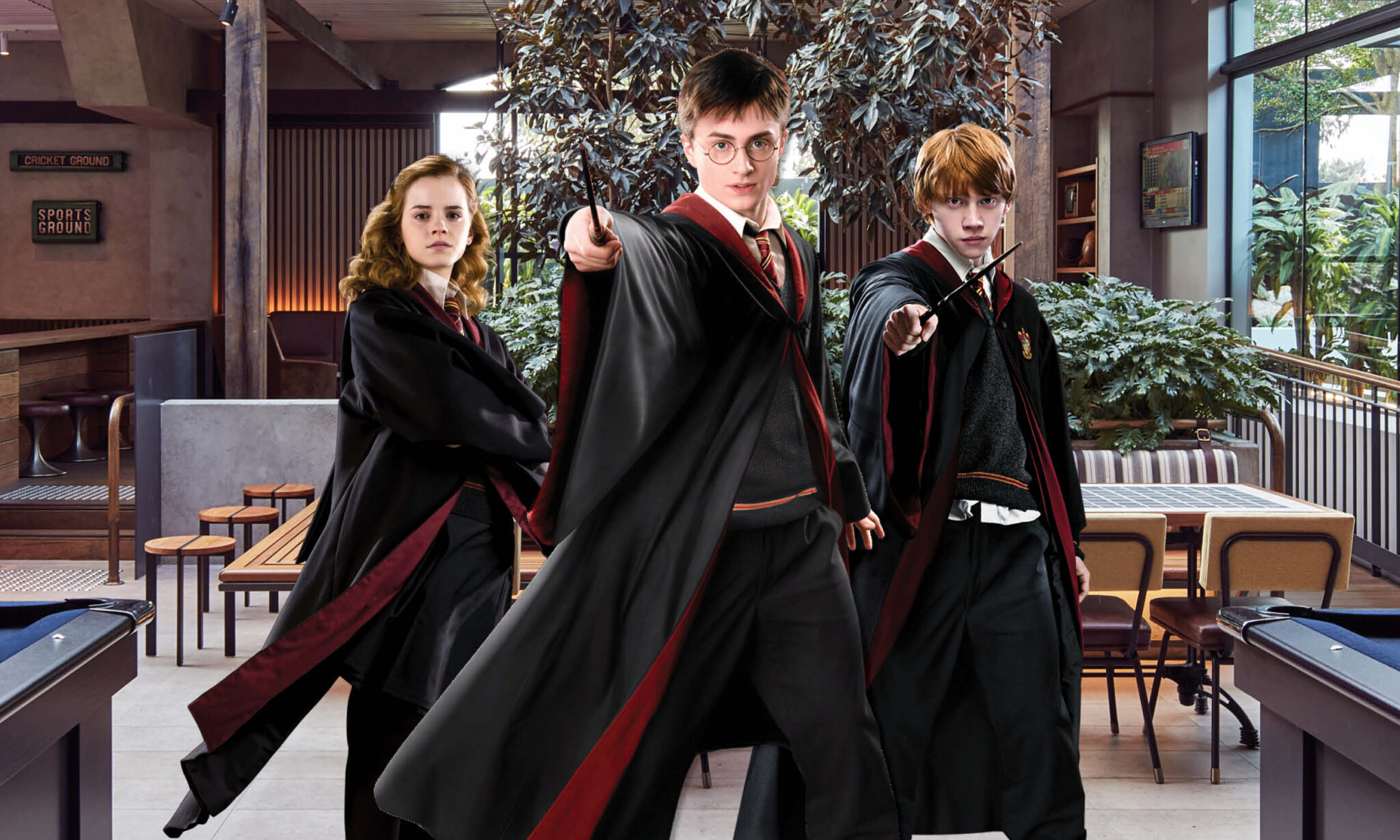 Battery House Harry Potter Trivia