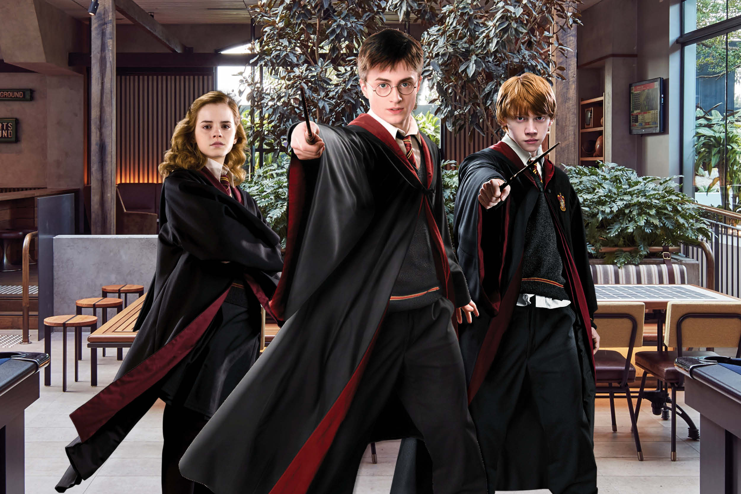 Harry Potter Trivia.