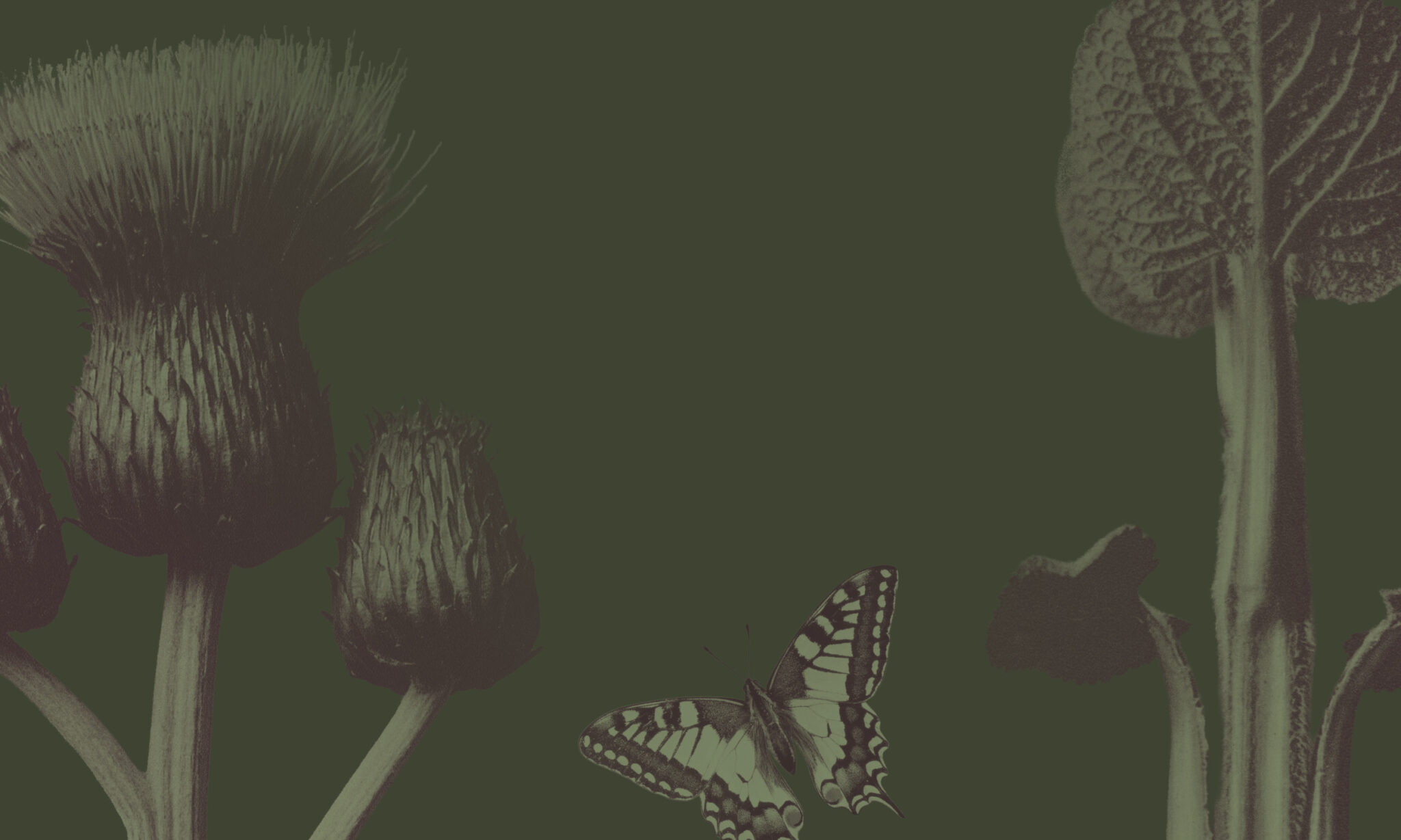 Botanica DYRSL